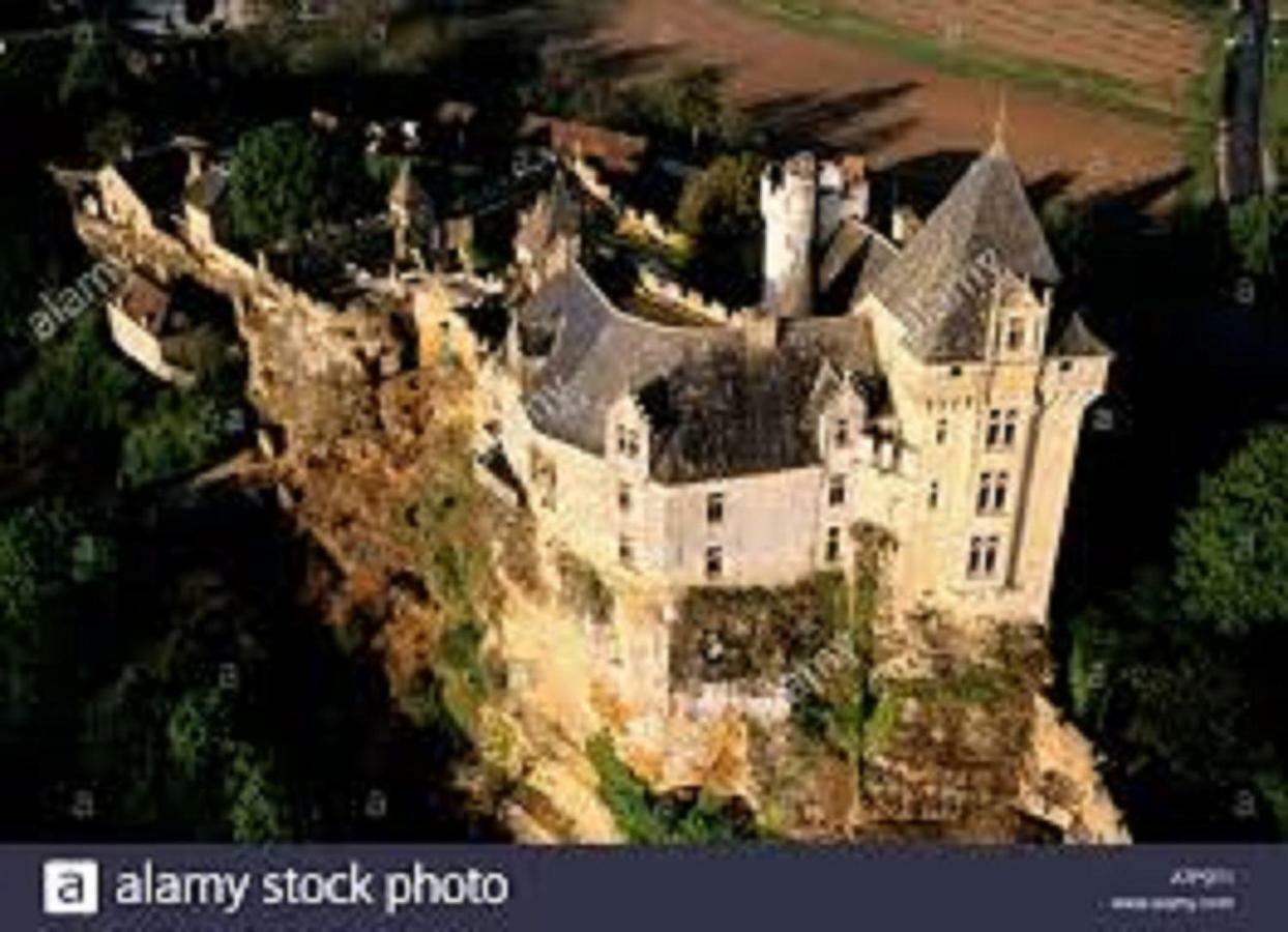 Vila Les Pruniers De La Cipiere Peyzac-le-Moustier Exteriér fotografie
